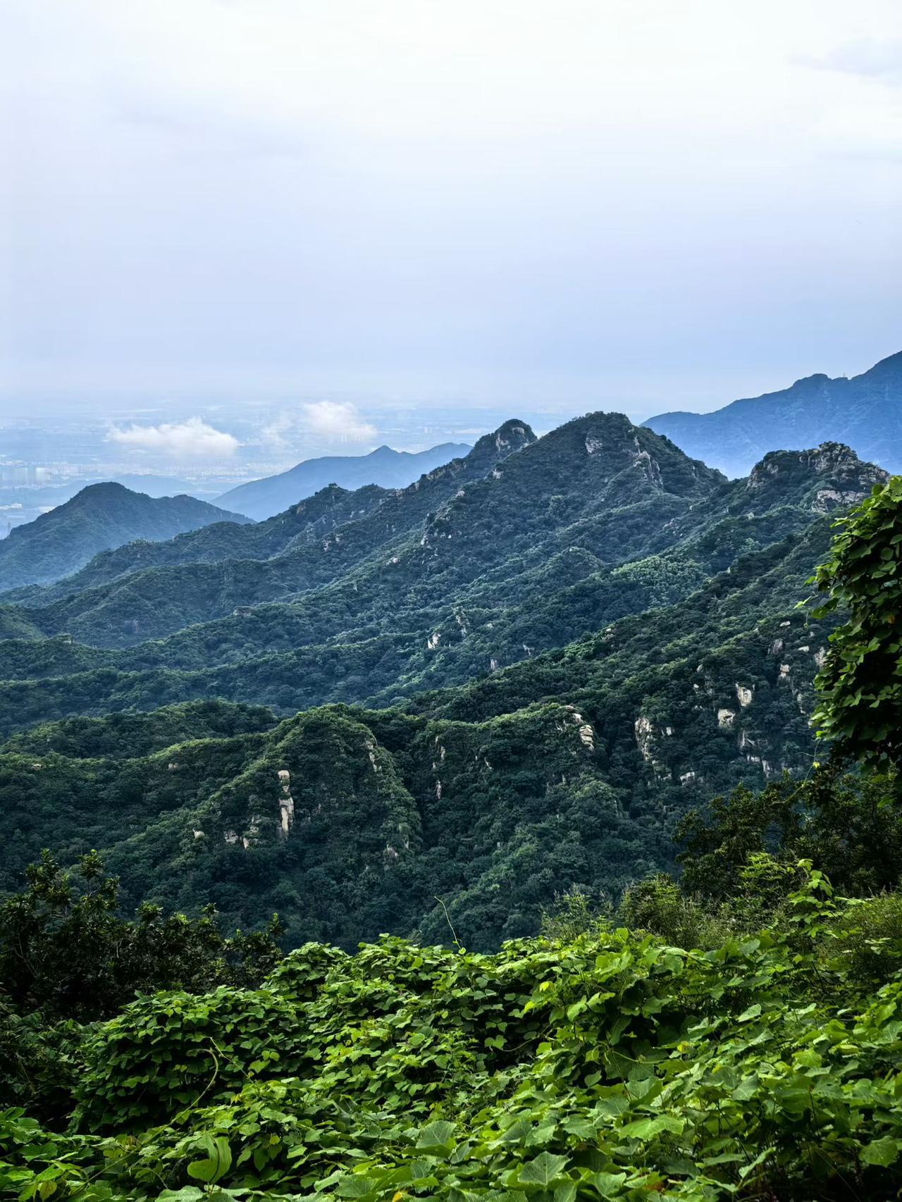 走进山野，才懂人为什么要逃离城市。
 
久待在城市里，每天被车流、噪音、屏幕消息