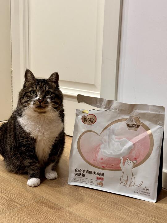 铲屎官必看！麦富迪奶弗新品幼猫粮太赞啦
