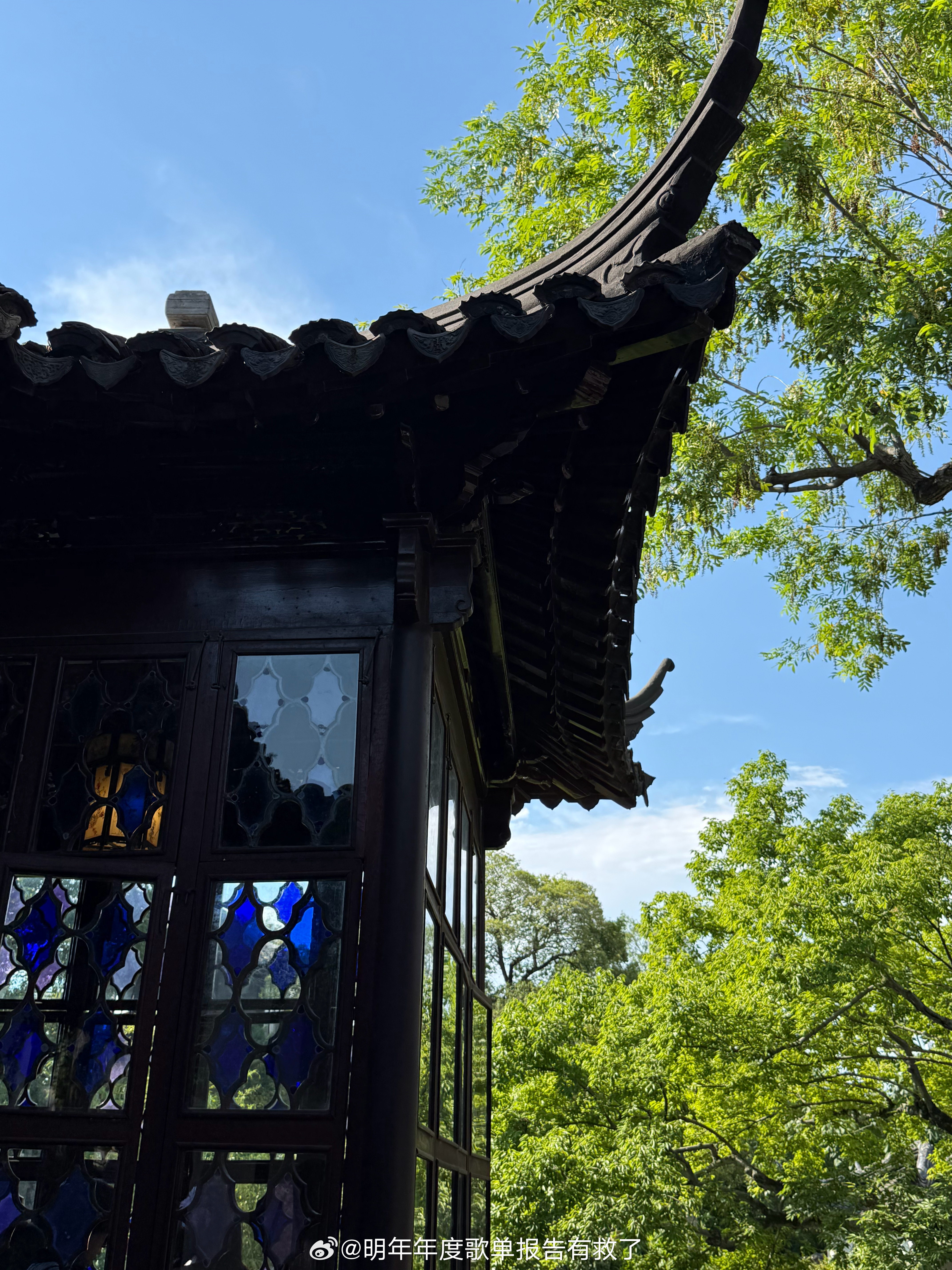 怎么三点了还不睡觉，下午喝了杯黑加仑而已