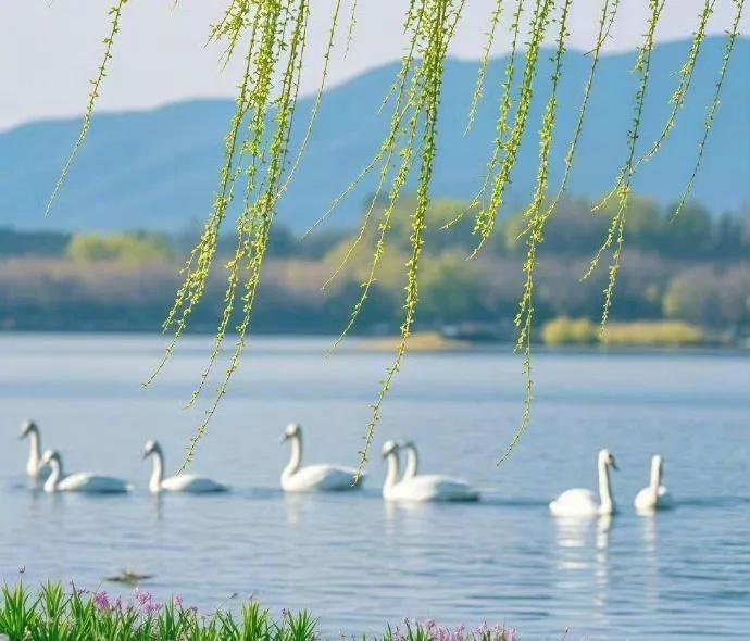 97年8月，男生，坐标上海(上海人），310，身高181cm，体重75kg。全日