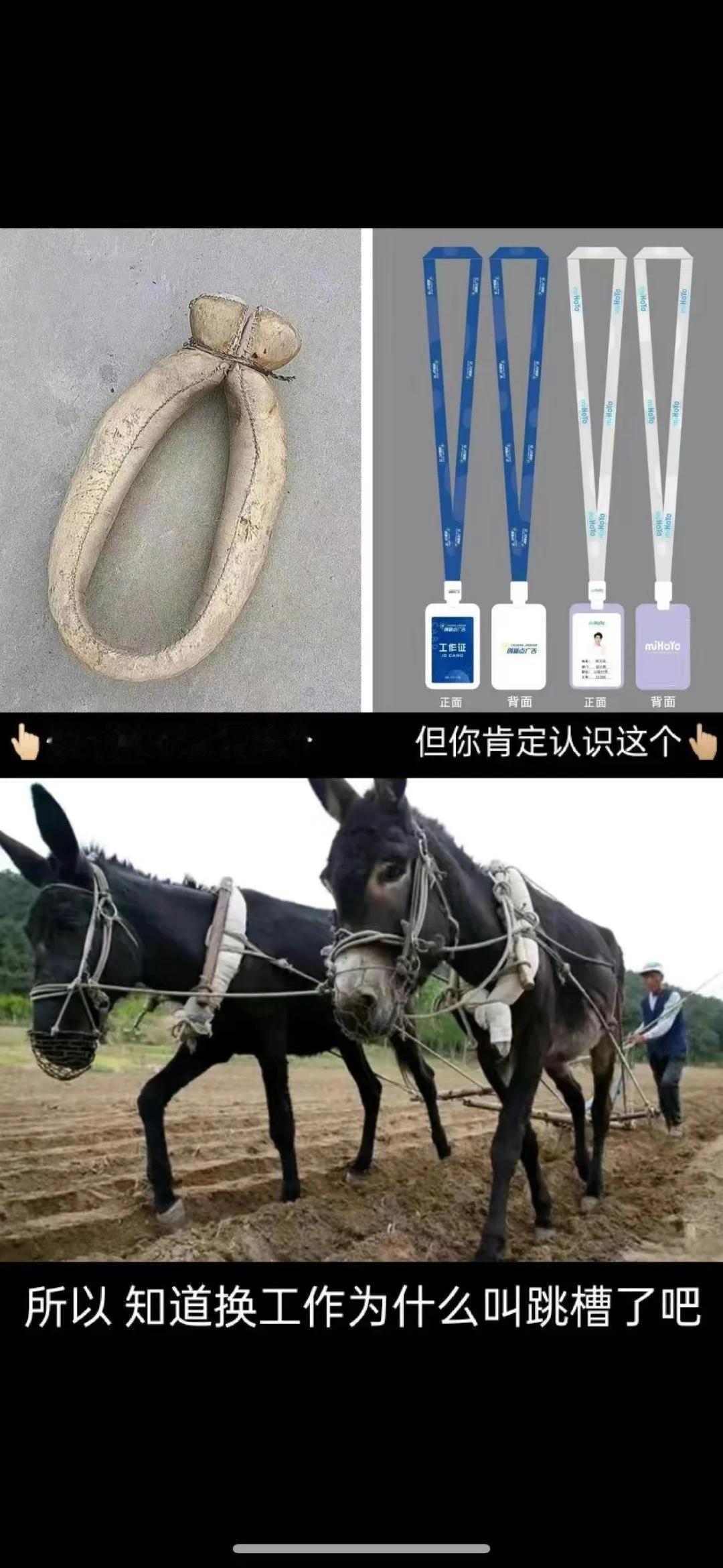 换工作为什么叫跳槽了？