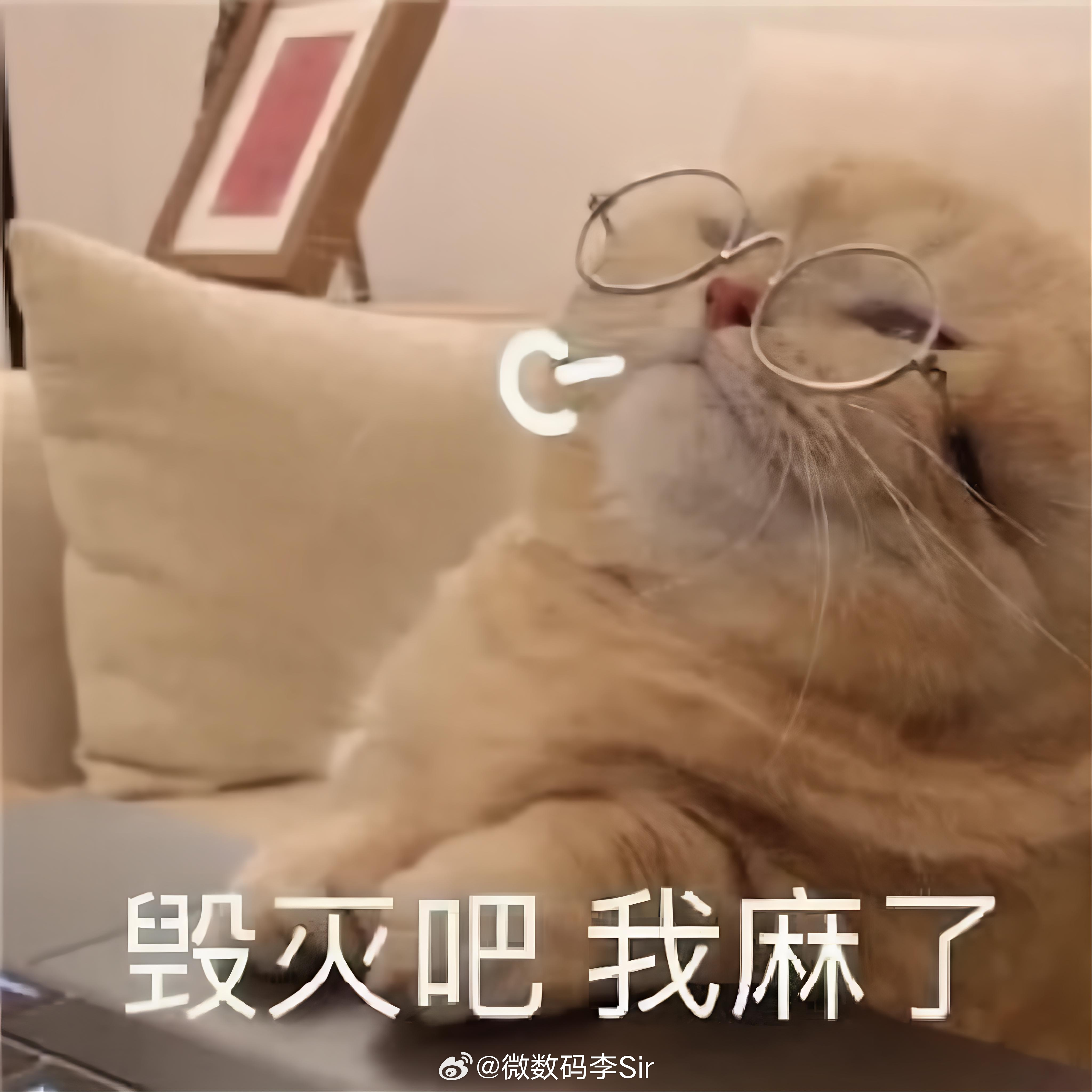 忍忍吧！生活就是这样薯条、鸡翅、奶茶，都得往肚子里咽…… 