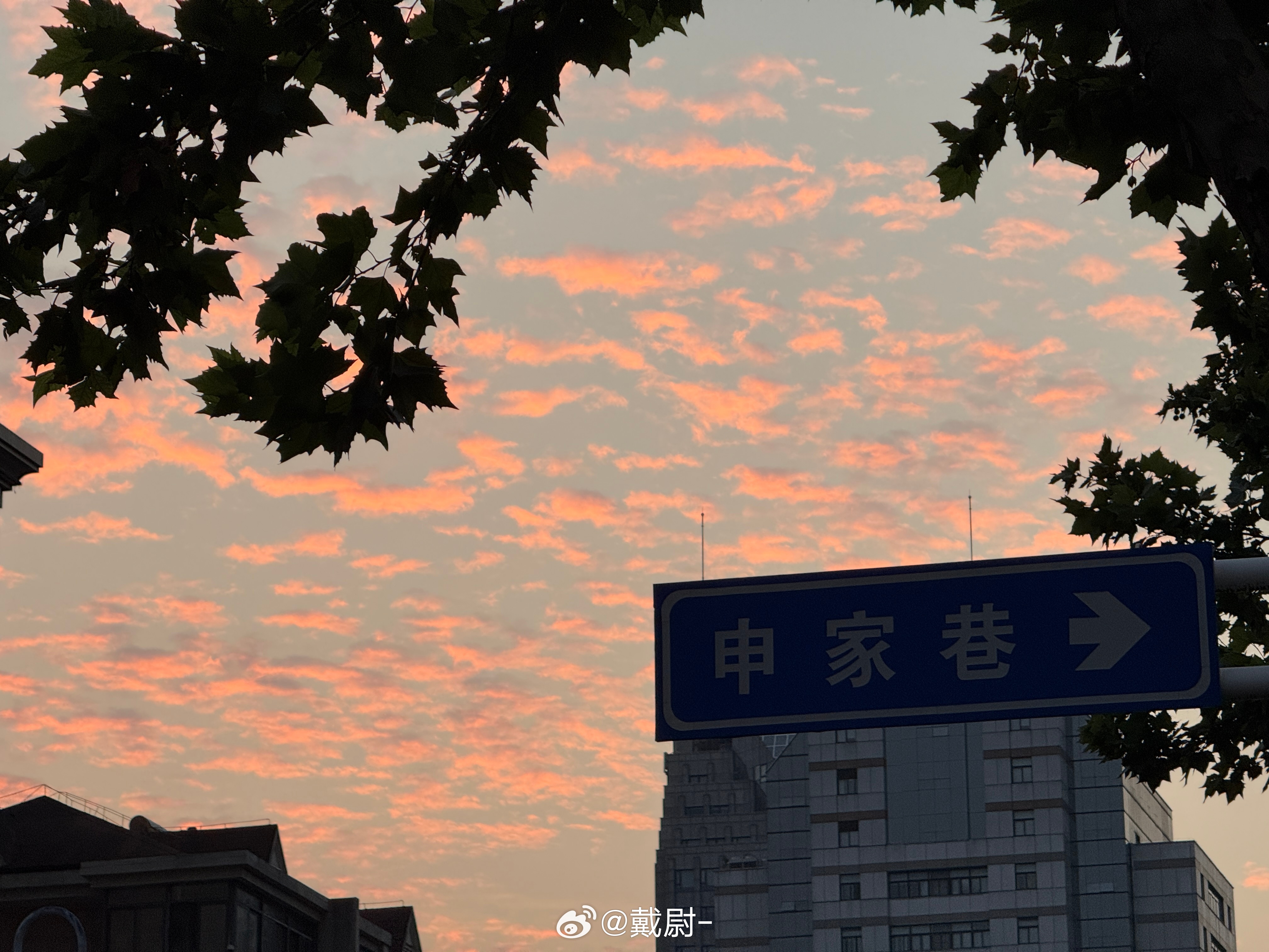 早牛马出门挣钱了 ​​​
