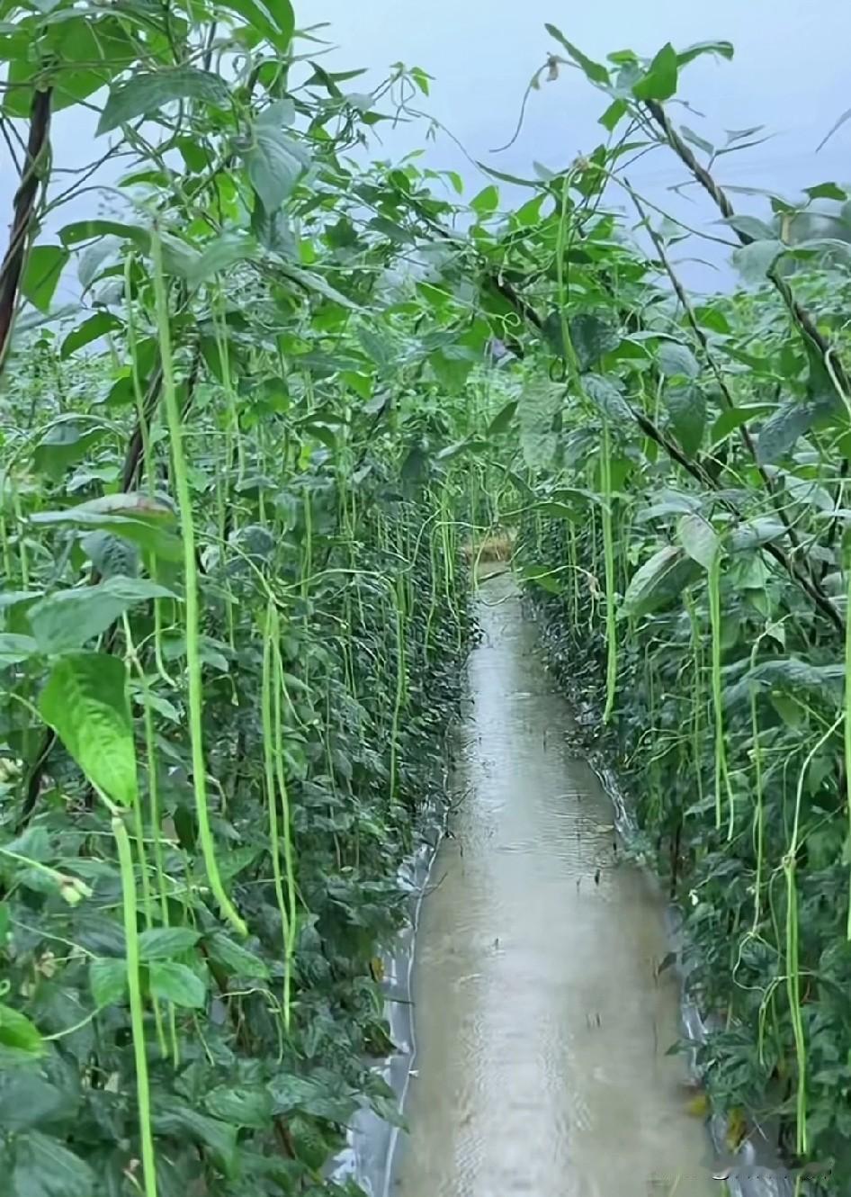 还是夏天好，冬天太冷了。