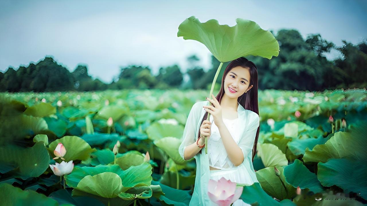 四面荷花三面柳，

一城山色半城湖。

——题薜荔楼联

这副对联宛如一幅绝美的