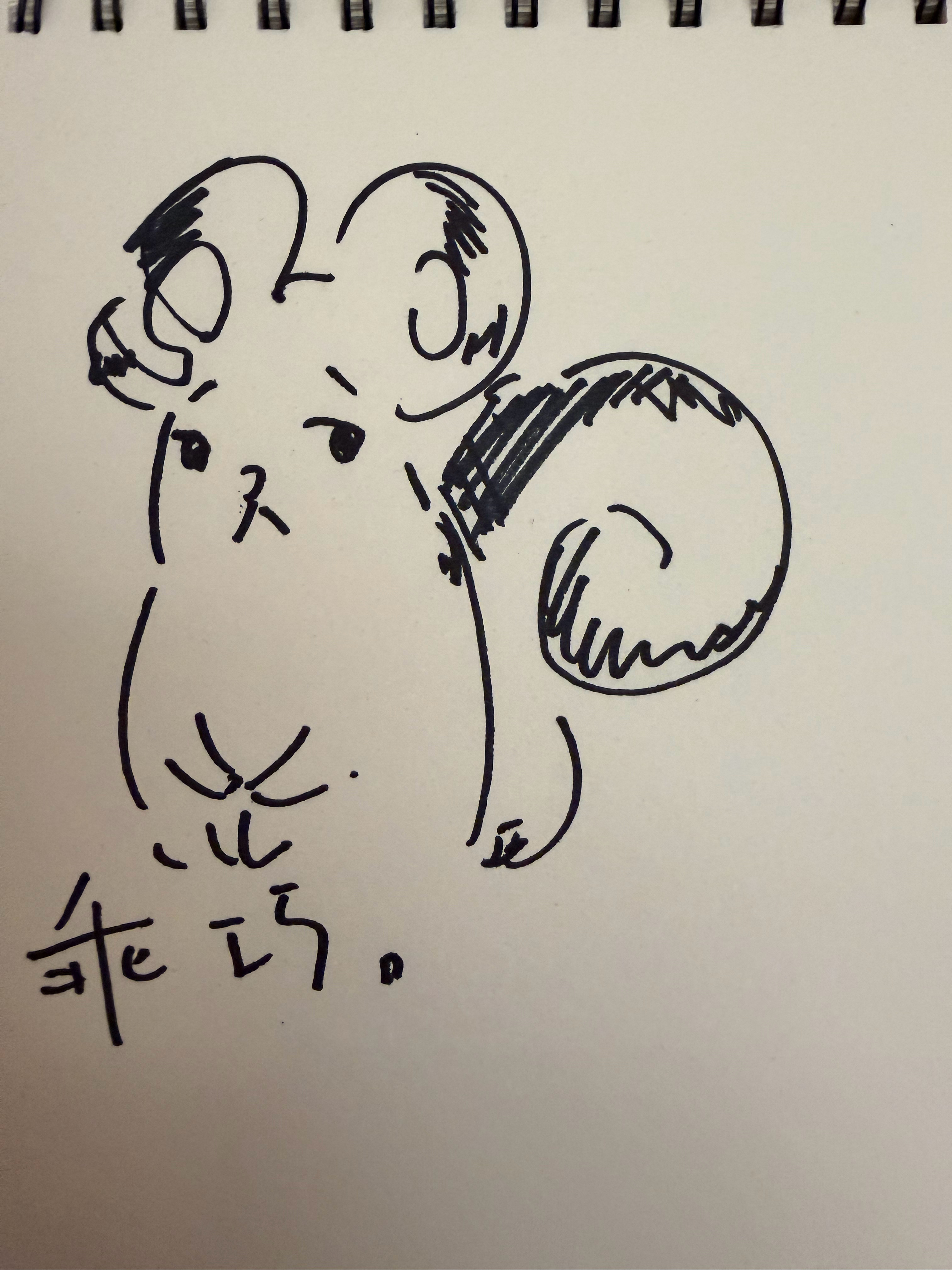 赖美云  七有画说