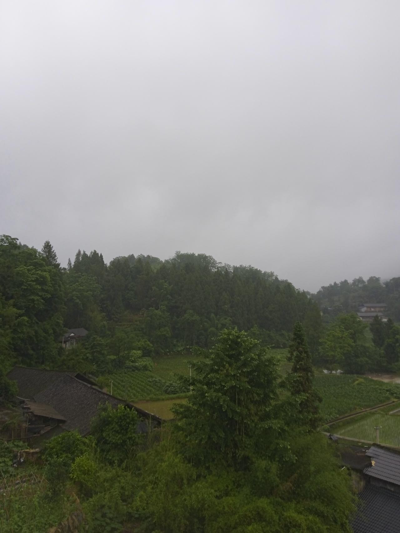 “孤独不是缺少陪伴，而是缺少懂你的人。”
主动孤独和被动孤独是完全不同的两种孤独
