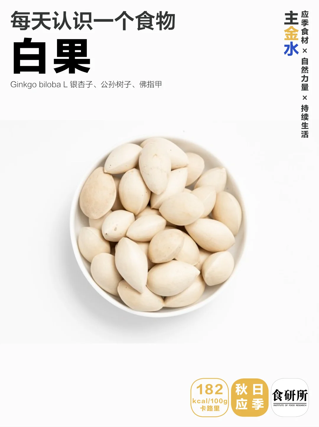 🌰白果 | 盐焗白果秋日润肺