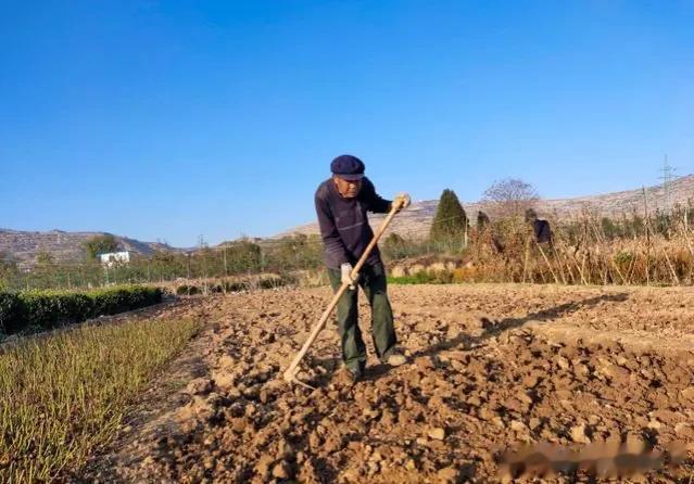 新石器时代农业革命的历史影响

新石器时代，人类发明了农业、畜牧业。农业的产生是