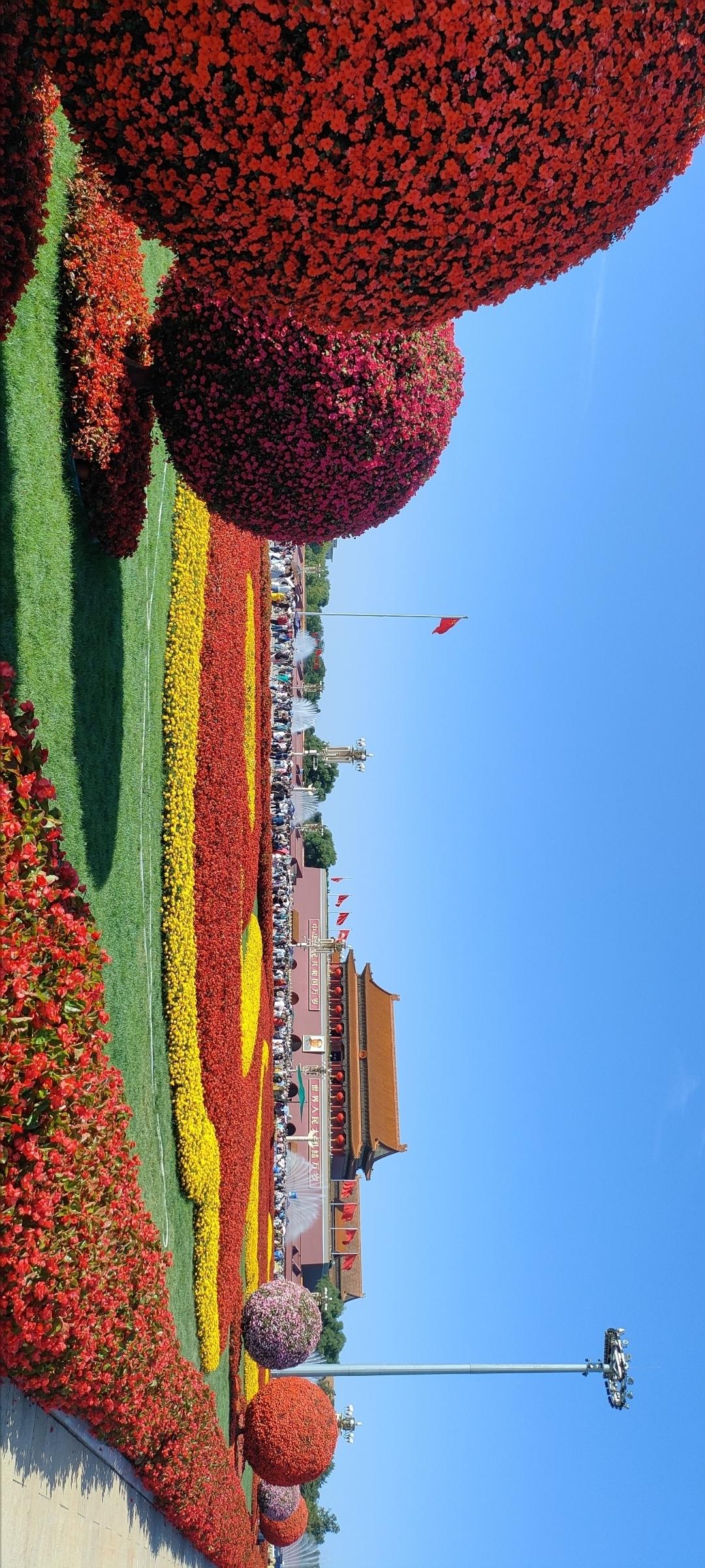 绚丽多彩的花坛，宛如大自然的调色盘，令人心旷神怡！
