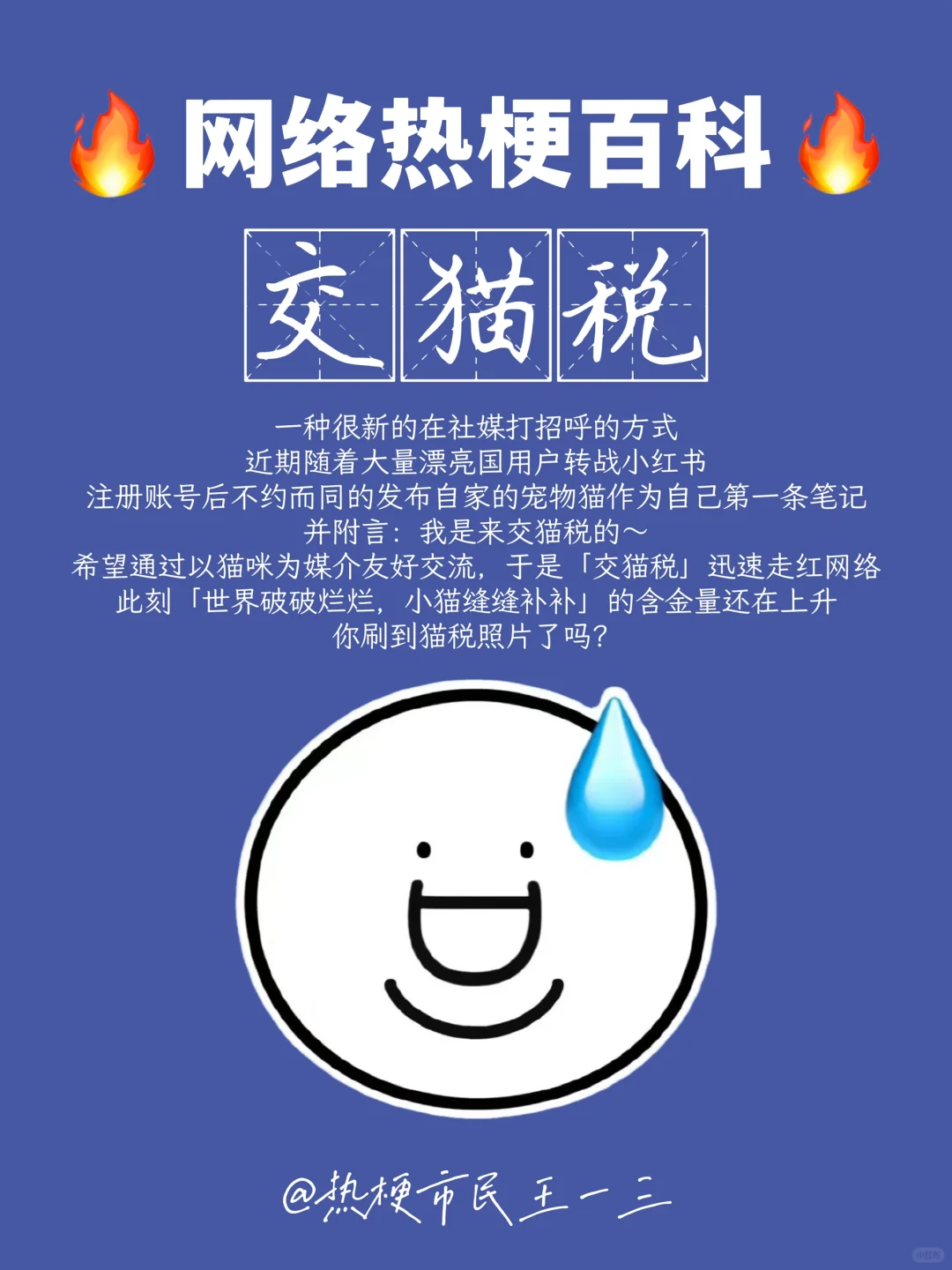 网络热梗流行语百科✅交出你的猫咪照片来～