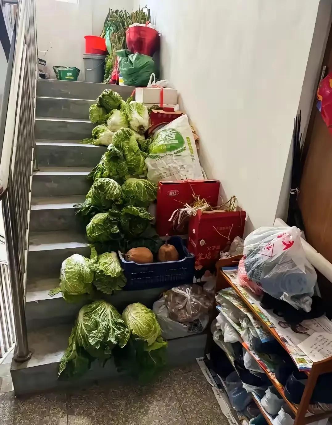 碰见这样的邻居，该怎么办呢？
什么东西都往外面放，
影响整体形象，
人家走路都不