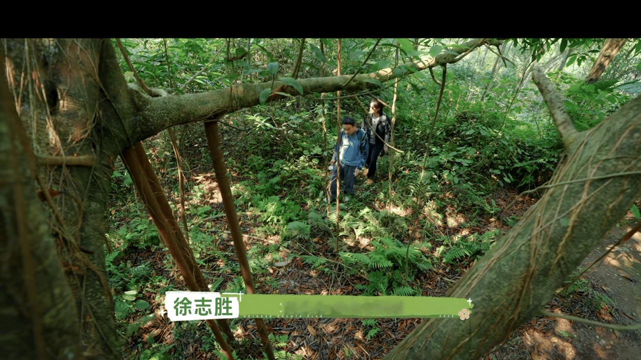 起猛了还以为花少8播出了户外成长计划 本来以为只是普通户外小综艺，看完直接被质感