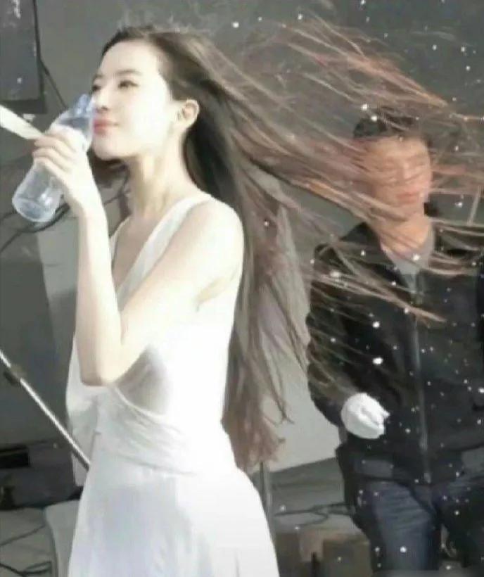 这大概就是对刘亦菲最好的评价
第一张：“连她的一根头发丝都不如。”
第二张：“布
