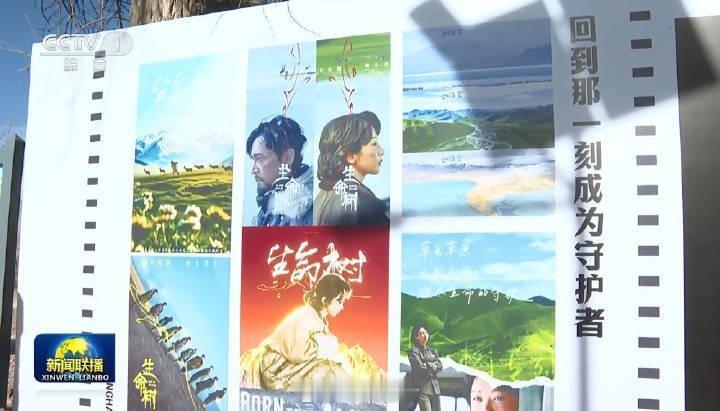 杨紫生命树登上新闻联播紫米二创的海报也登上了，这才是真正的互相成就，顶峰相见。