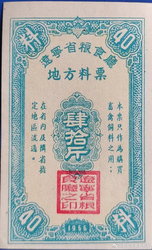 五十年代的各种证件 