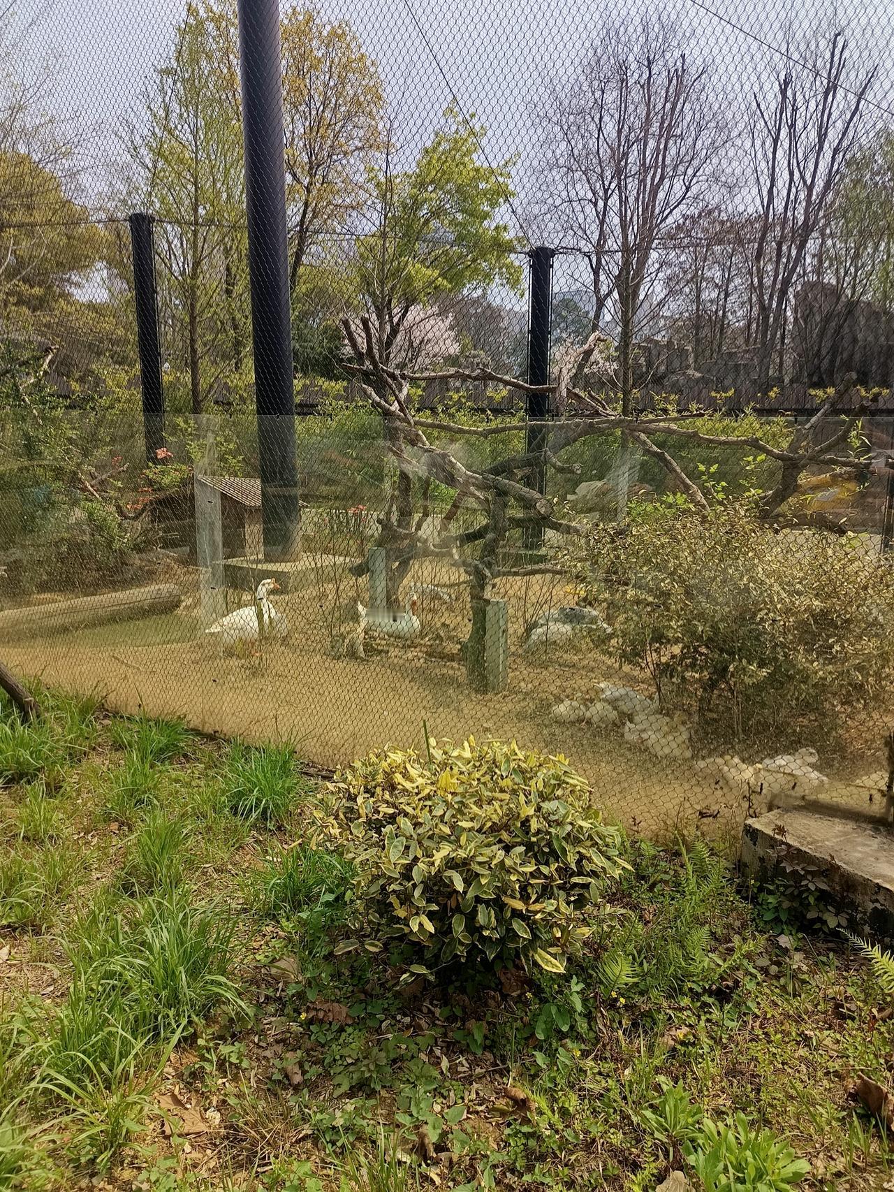 昨天是我生日，满59岁，女儿发了200元红包虽然不多，也表示了她的心意，我不求她