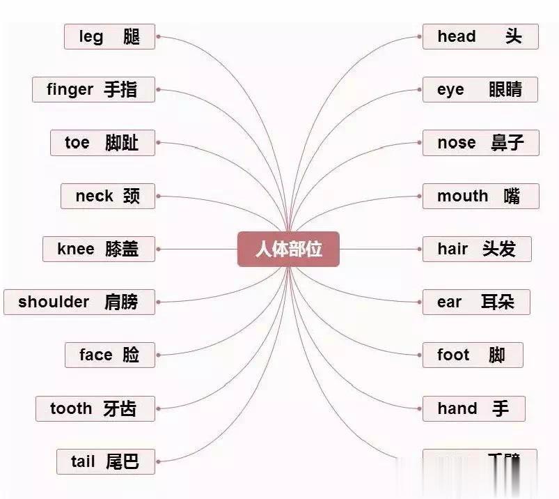 高中英语49个基础英语思维导图，背单词超有效！（上） ​​​