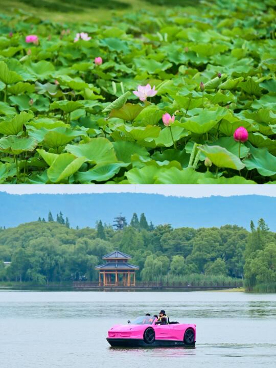 什么❗️尚湖景区竟然免费一周，错过再等10年