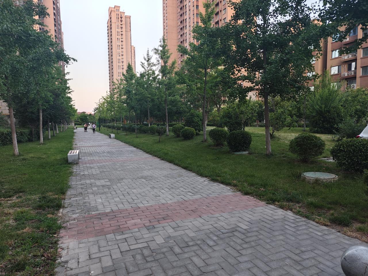昨天傍晚在住宅楼前碰
            到一桩挺别扭的事
    我吃完晚