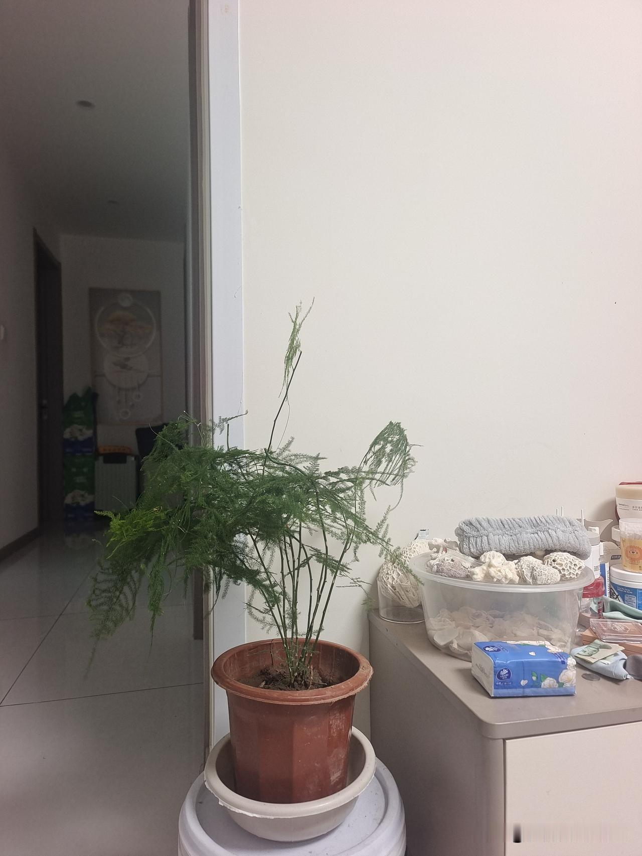 闲逛迷路，回家栽花，平平淡淡一天。

新区公园楼房新
别墅排排少行人

闲逛一时