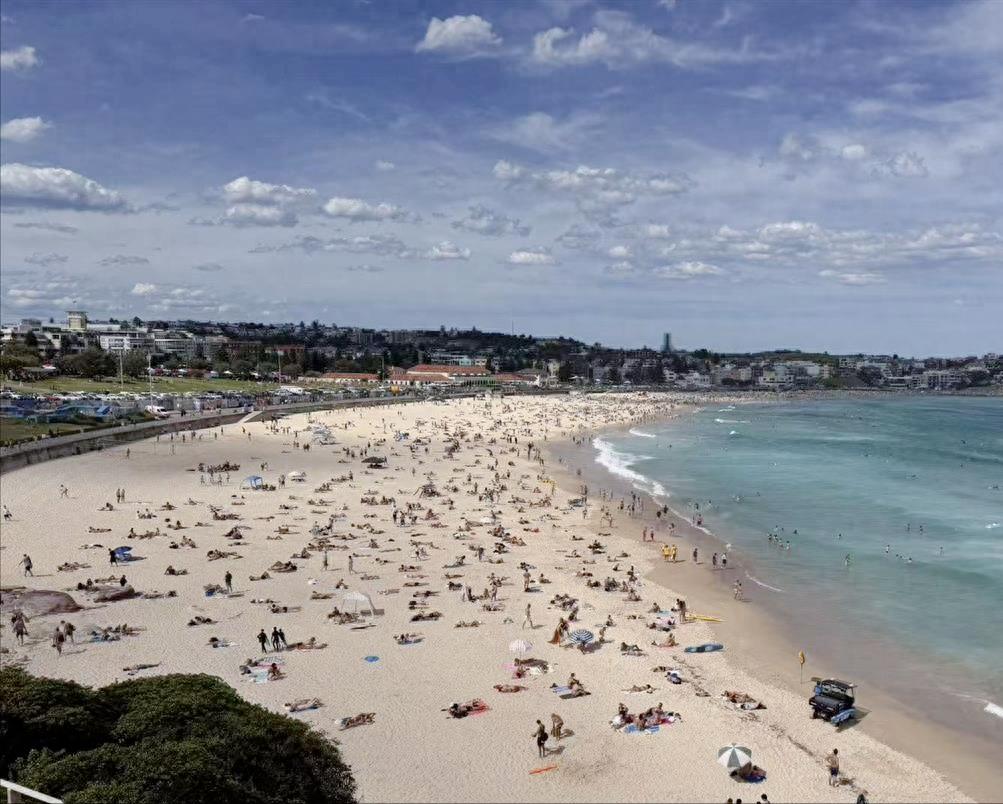 你敢信？在美丽的阳光海滩上晒太阳，下一秒竟成了生死逃亡——这不是电影，是真实发生