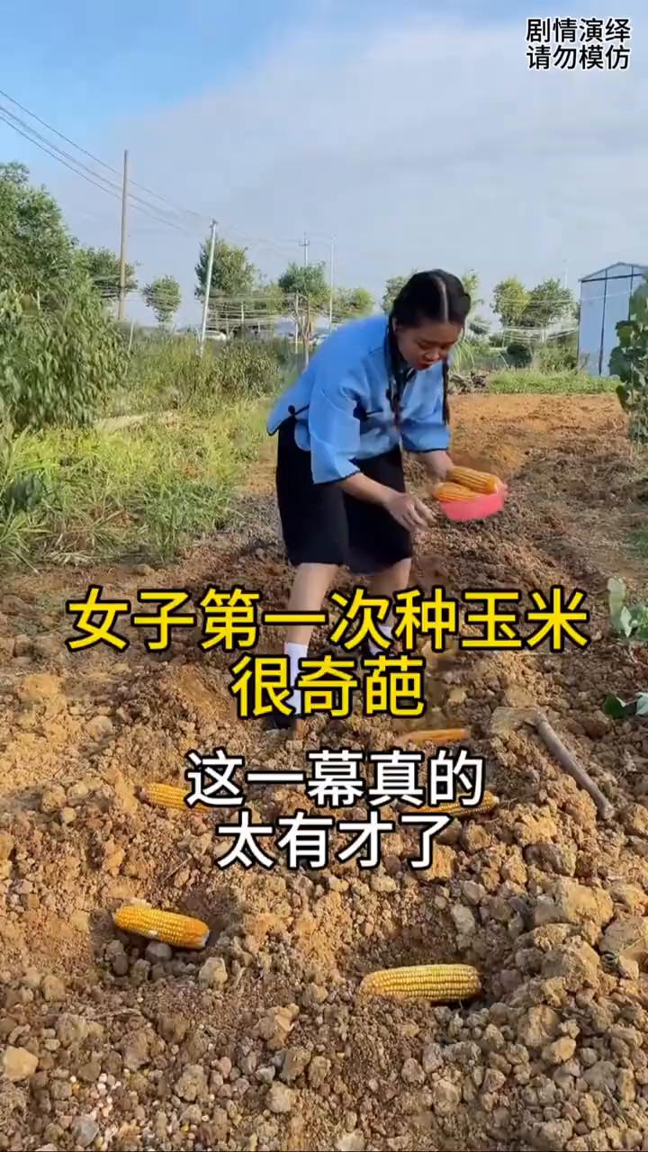 女子第一次种玉米很奇葩，这一幕真的太有才了。
女子来到地里种玉米，由于第一次种地