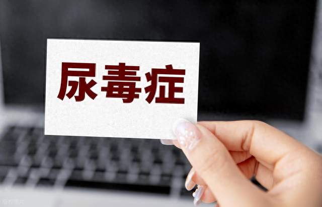 尿里泡沫多、夜里总起夜？肾脏可能在悄悄向你“报警”