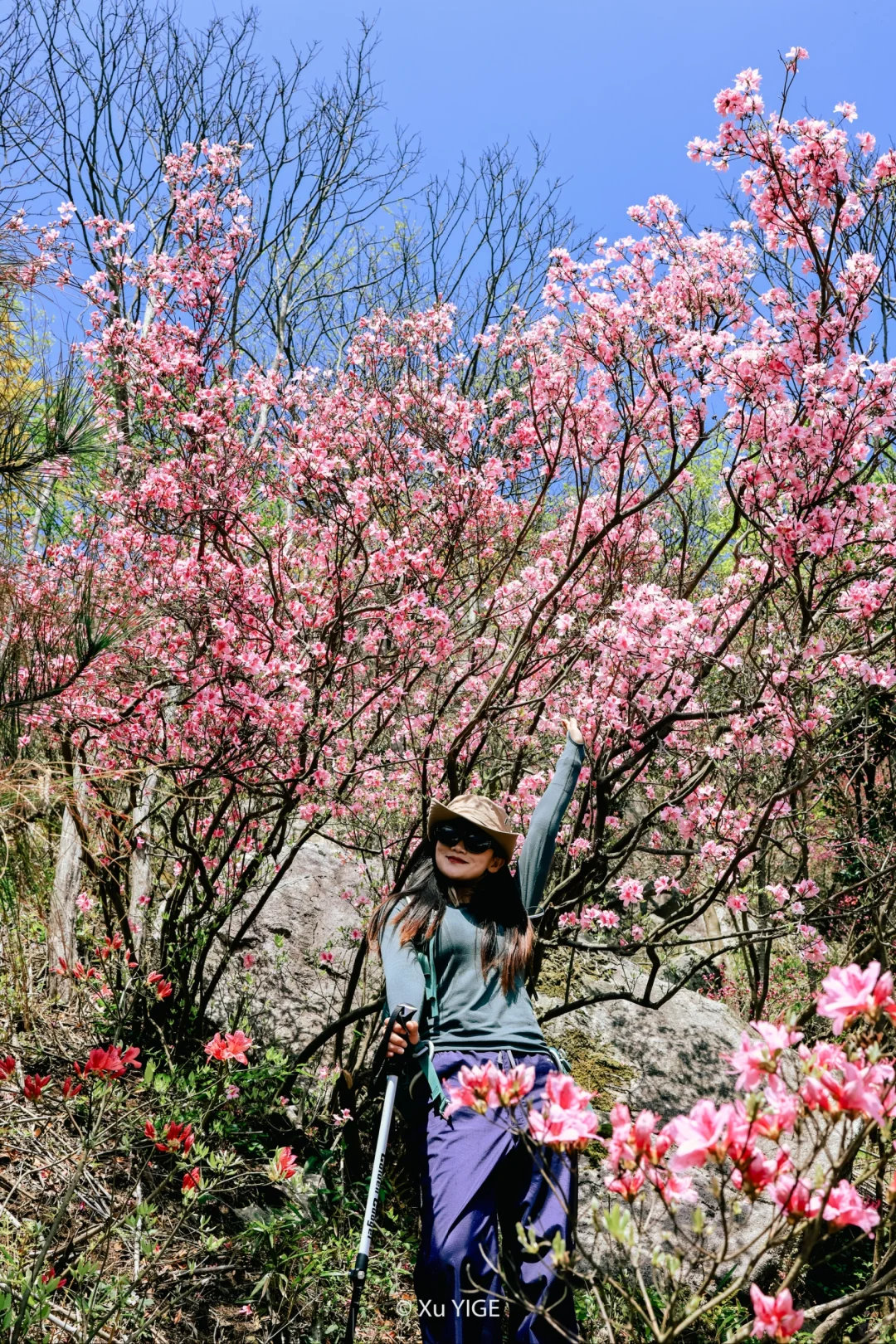 宁波徒步｜金峨满山杜鹃花开，8字环线差点