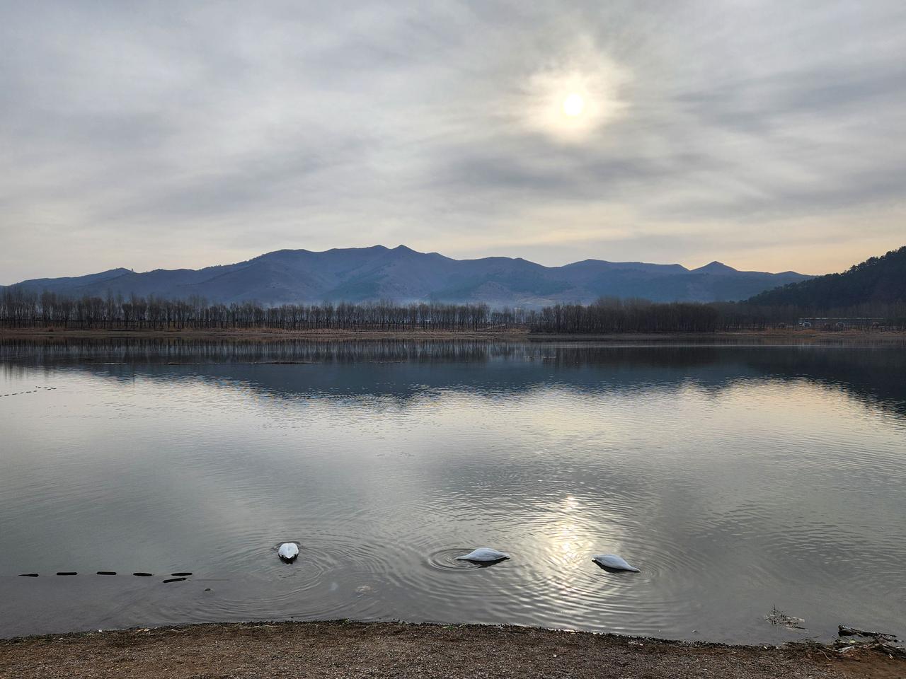 AI扩图 朗读席慕容 你怎么看