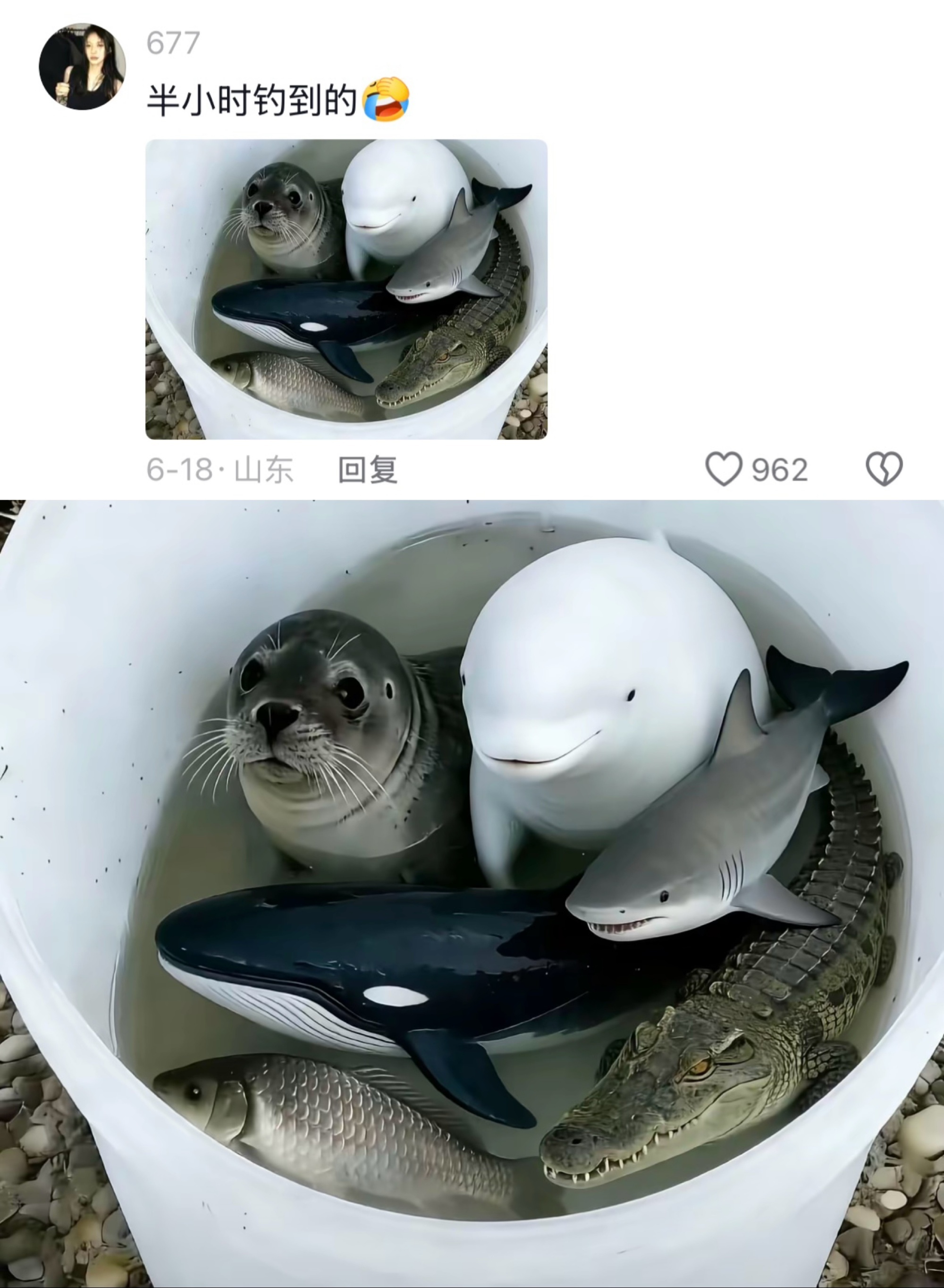 日子不过啦？跟你们这些上流社会的拼啦 