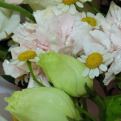 阳光信用 人生如一场修行。得意时，一日看尽长安花；艰难时，潦倒新停浊酒杯。但生命