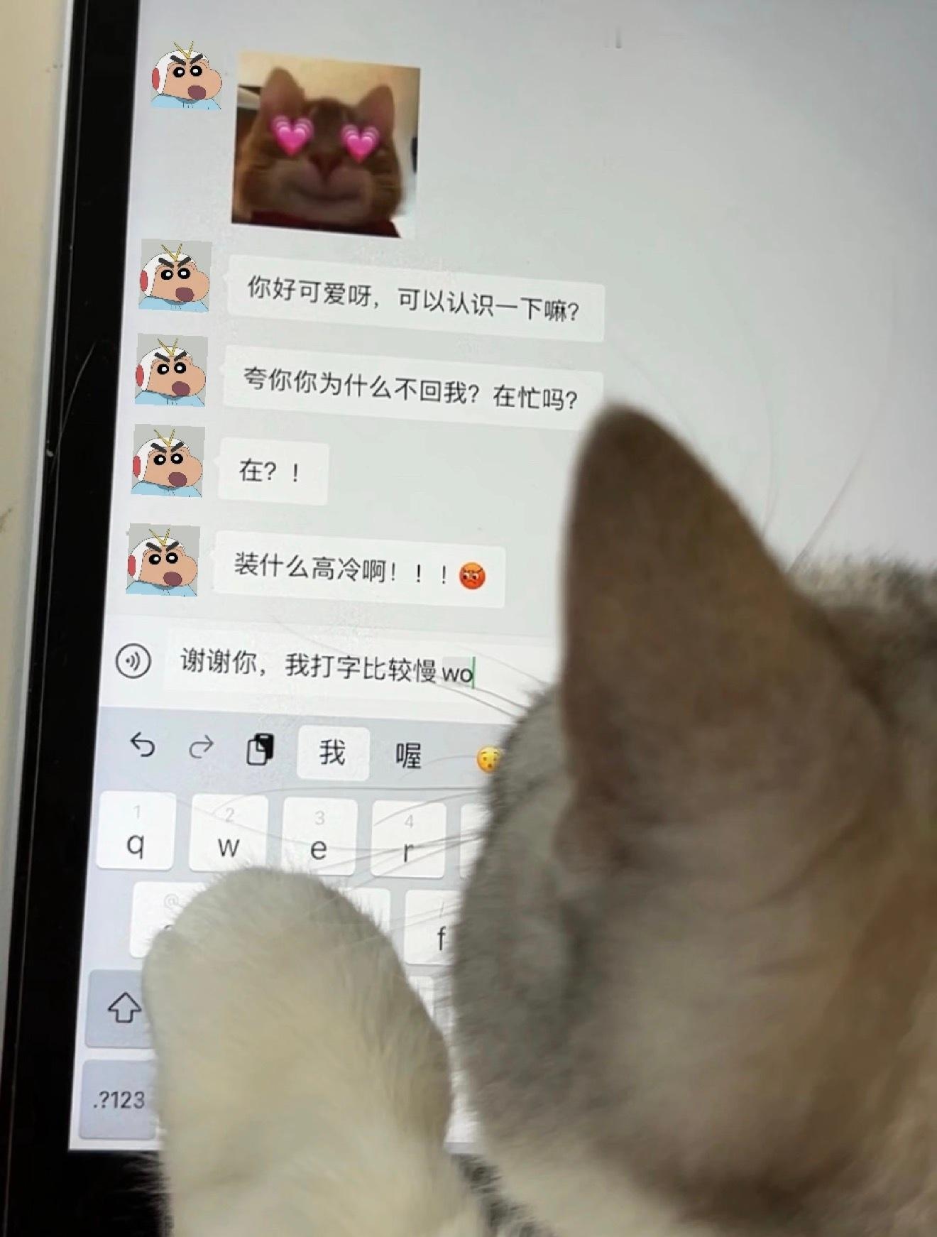 十二点前有希望看到侯侯全打完吗 