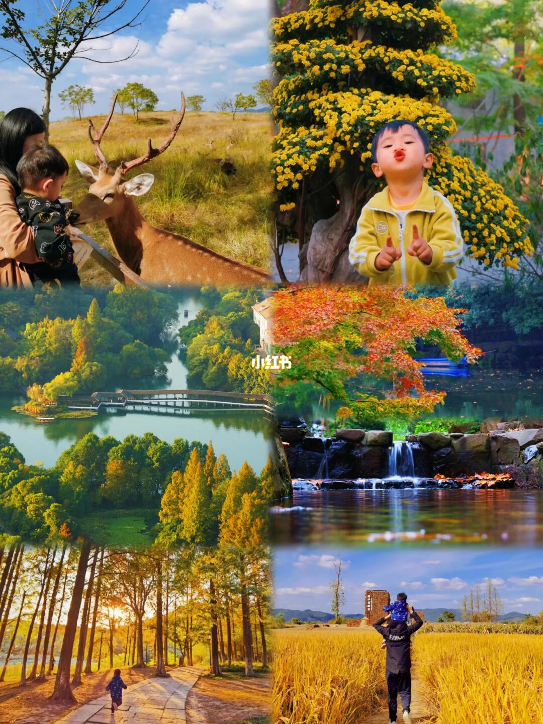 来我家乡玩一天｜你要知道的杭州溜娃计划