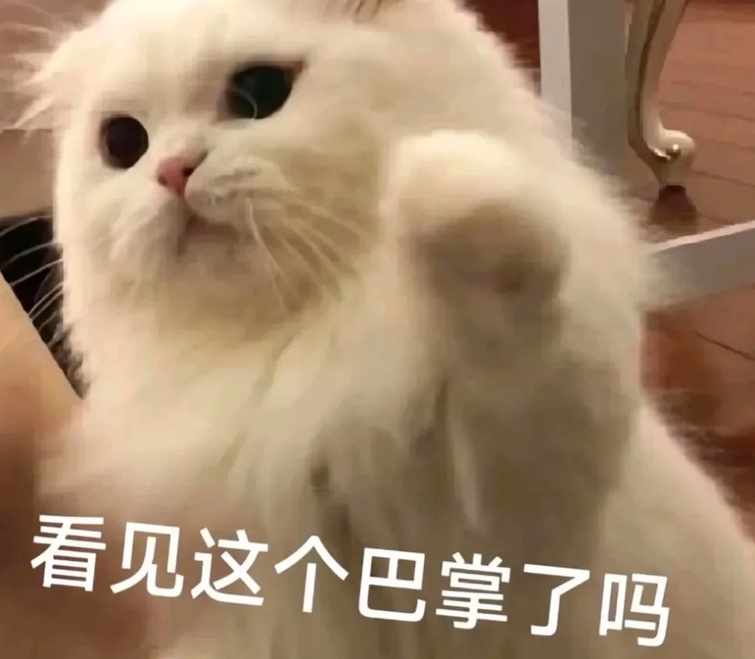 太好了~“吃老子一拳”系列的小动物表情包汇总成功！！