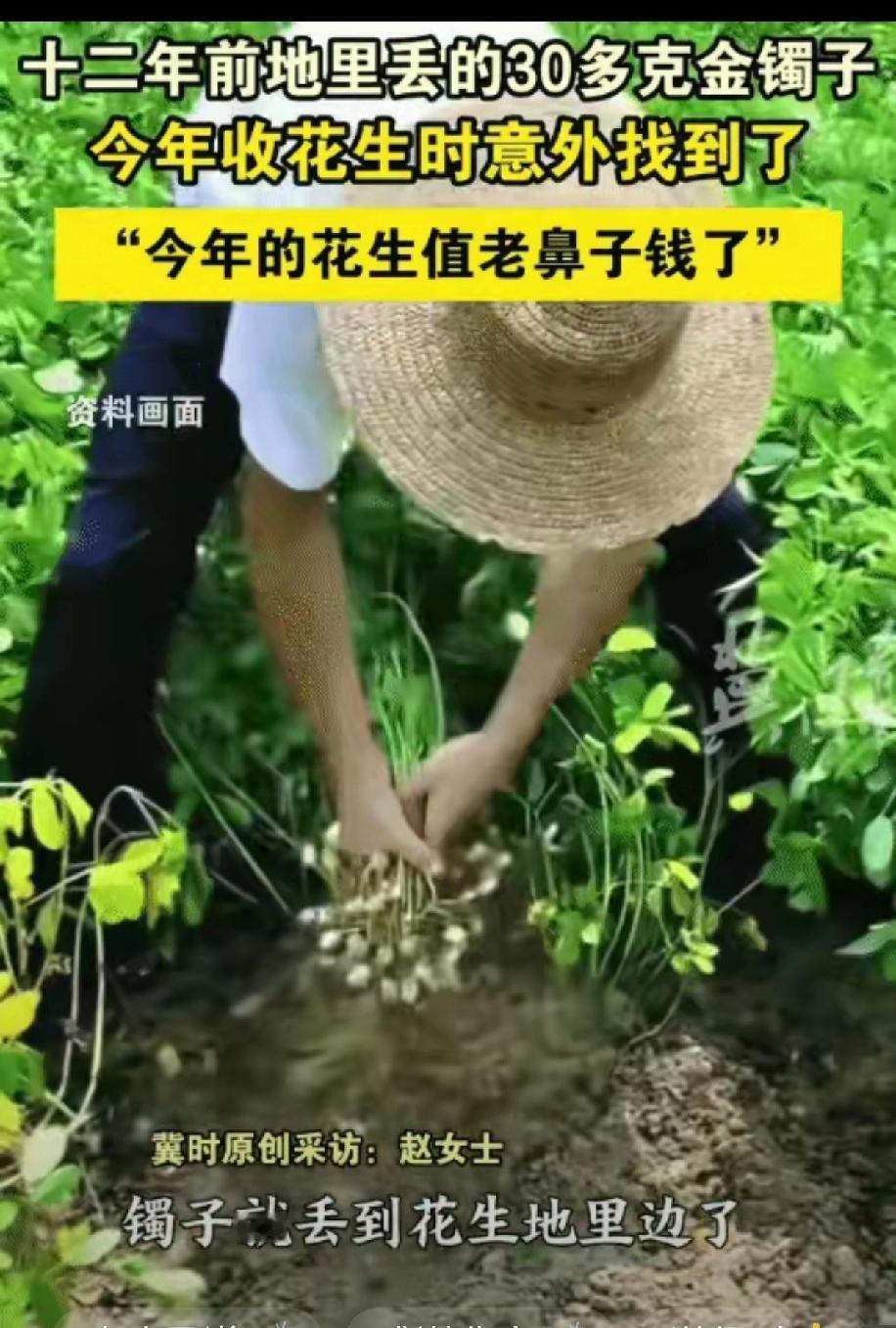 太神奇了！河北一女子收花生时，竟在地里挖出了姥姥12年前丢失的金镯子，简直是“花