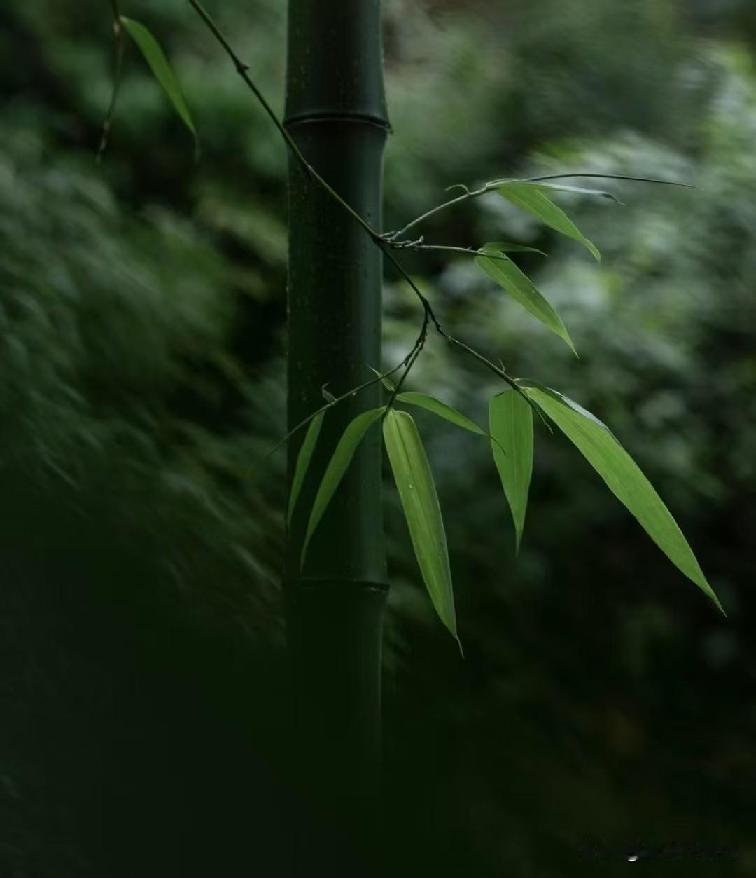 普通人最好的改运：悄悄做事，默默修心，低调积福！
 
很多人一生都在向外求好运、