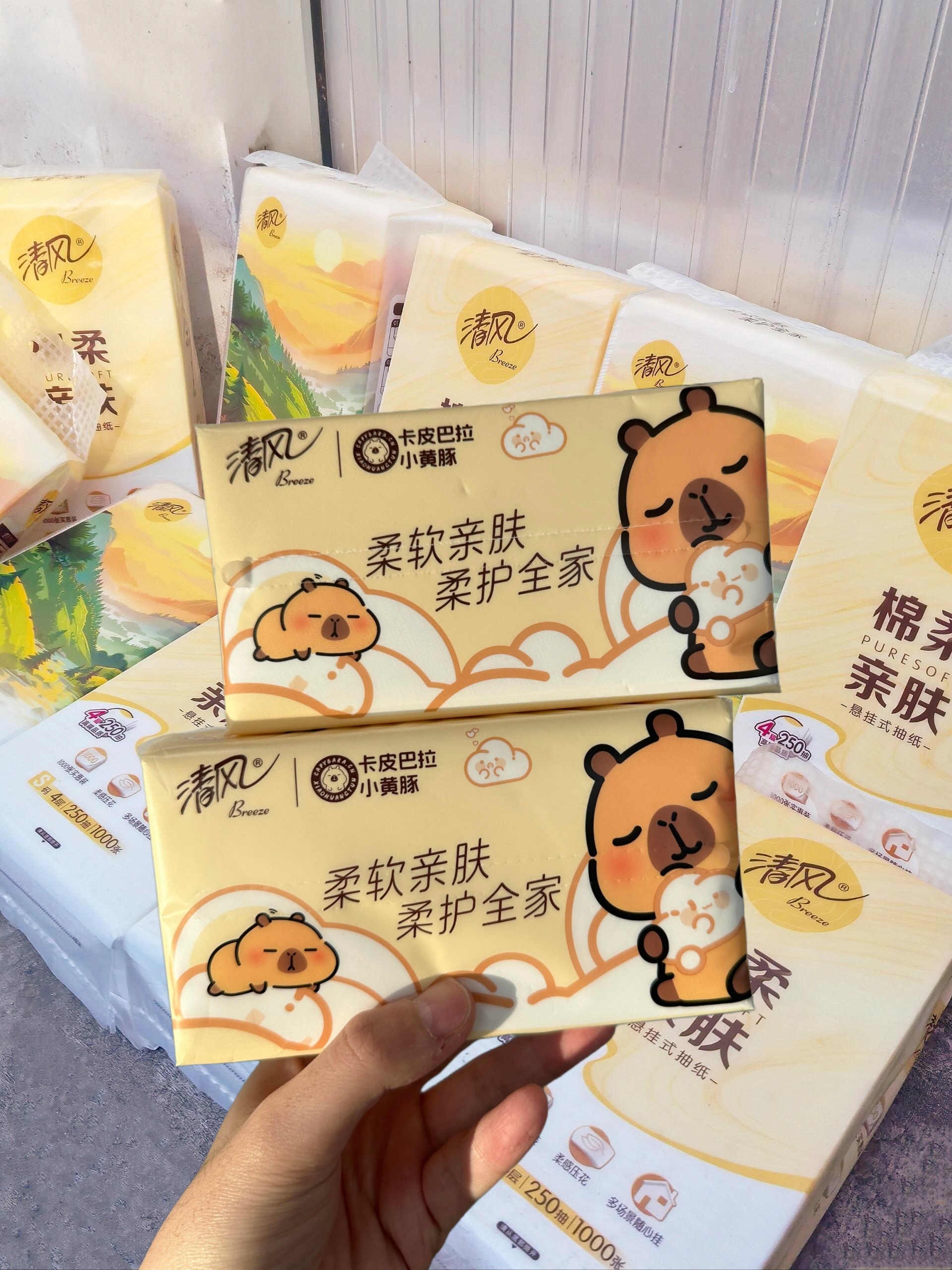 李昀锐清风品牌代言人  🌪️✨【清风「云柔纯品」焕新登场｜与李昀锐共赴一场温柔