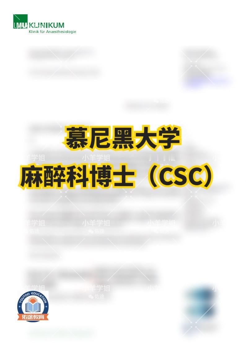 1、德国慕尼黑大学 | 麻醉科博士（CSC）
2、荷兰莱顿大学医学中心 | 心血