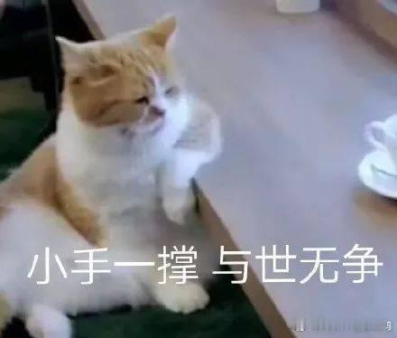 青岛文旅关闭评论区天才是真塌了笑死 平常这个瞧不上那个瞧不上的 这下轮到自己了