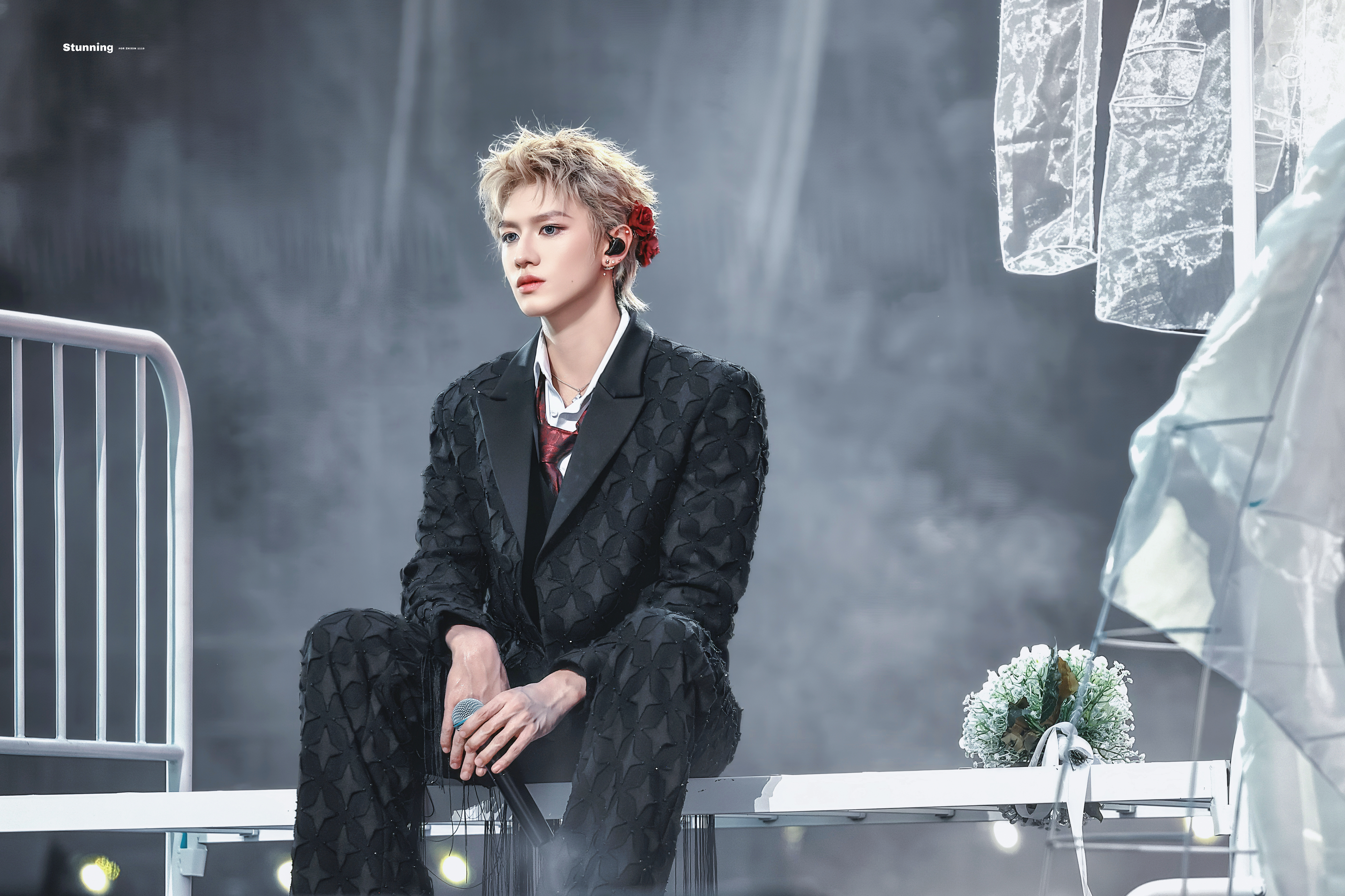 小王子与玫瑰🌹 