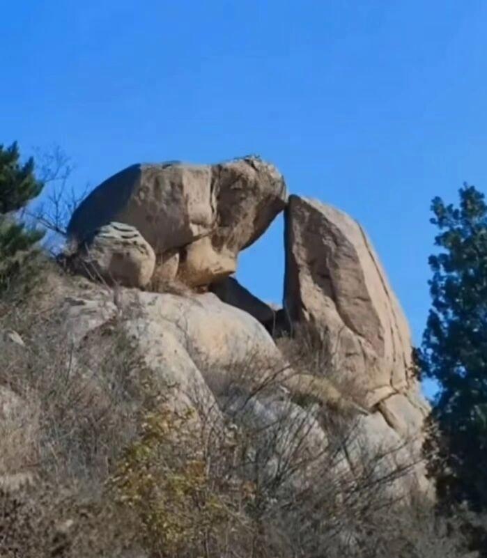 旅游中拍到最好看的照片千年一吻！一吻千年！