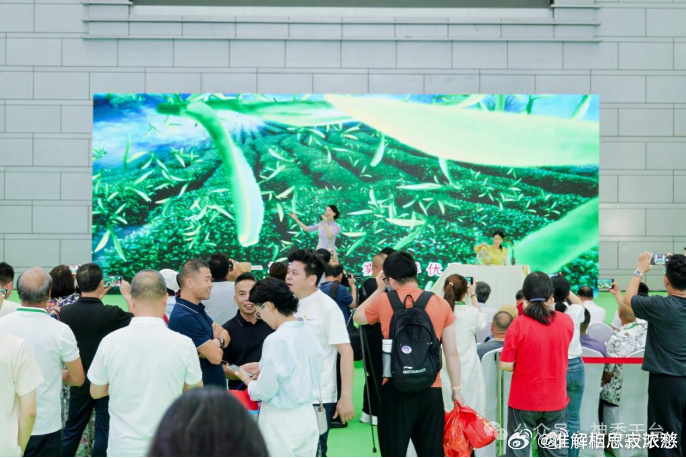 台州天台以茶牵线开拓长三角市场 近日，2026宁波茶博会天台山云雾茶专场推介会顺