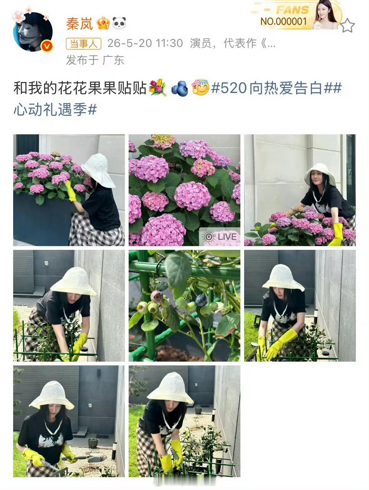 秦岚520发了疑似有魏大勋声音的live图 后来疑似心虚编辑掉了秦岚发了疑似有魏