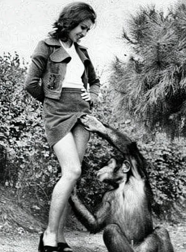 一只可爱的小猩猩，它能有什么坏心眼呢？

1956年，一个法国女孩去动物园游玩，