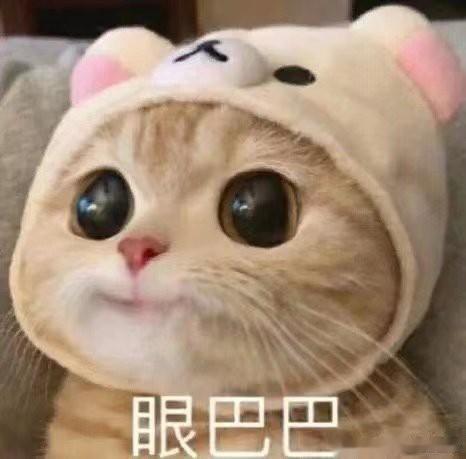 #i人被迫营业的样子# 被迫营业什么的，就是让人觉得非常的糟糕，能不能够让我静悄