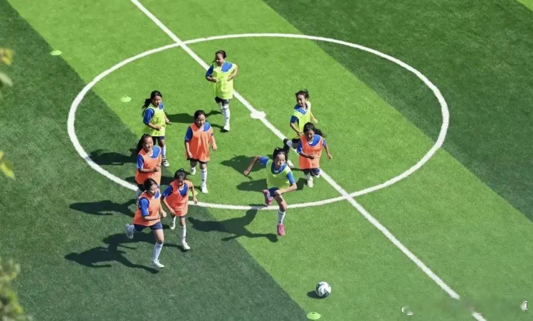 12年绿茵场上，大众汽车既「造车」也「育人」在社会学中有一个「企业公民理论」，意