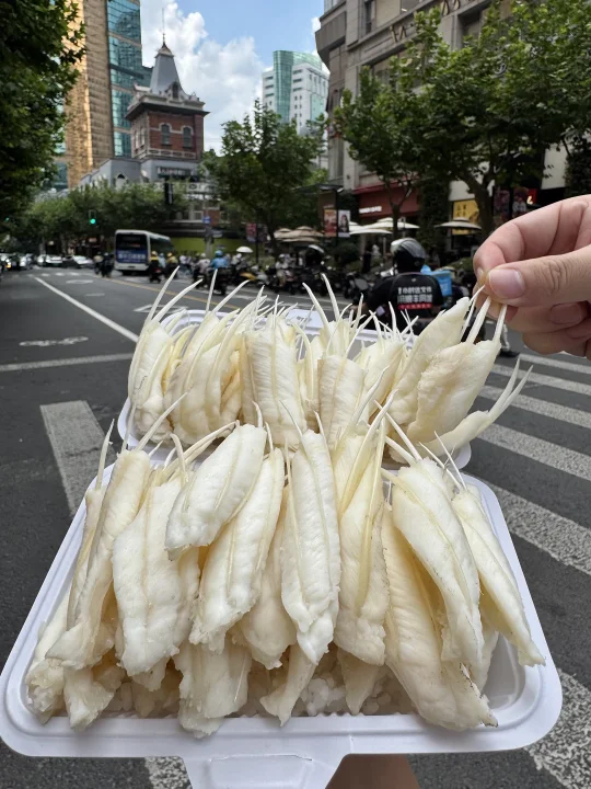 上海静安寺！！！我唯一的丈夫……🥹🥹