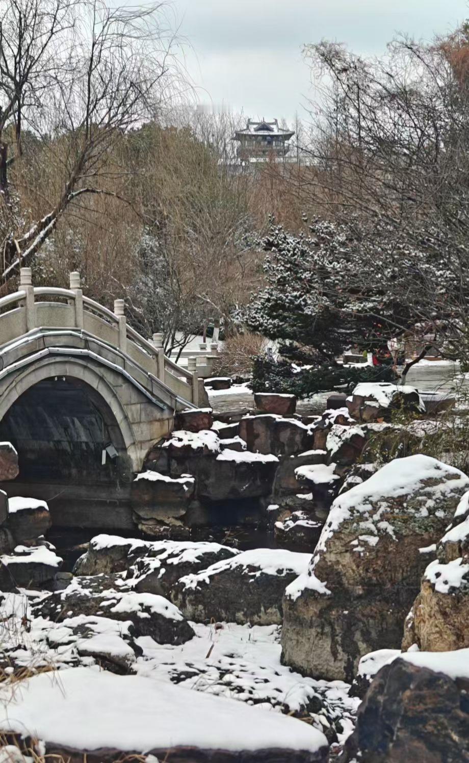 石桥弓着背，驮着雪与寒，远处亭阁在枝桠间浮沉，像幅被冻住的水墨，连风声都浸着古意