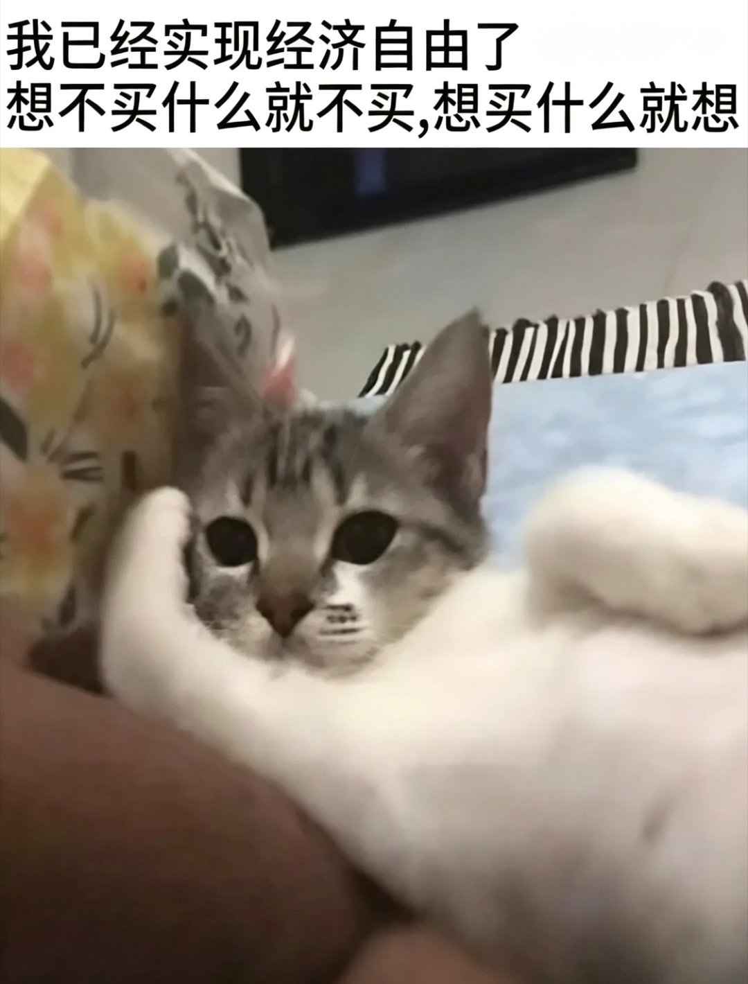 就喜欢这种自由的感觉 ​​​